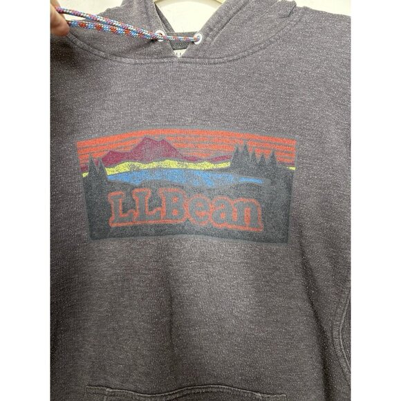 L.L. Bean Hoodie Pullover Vintage Gray Retro Graphic Long Sleeve Unisex Size L - Picture 3 of 9